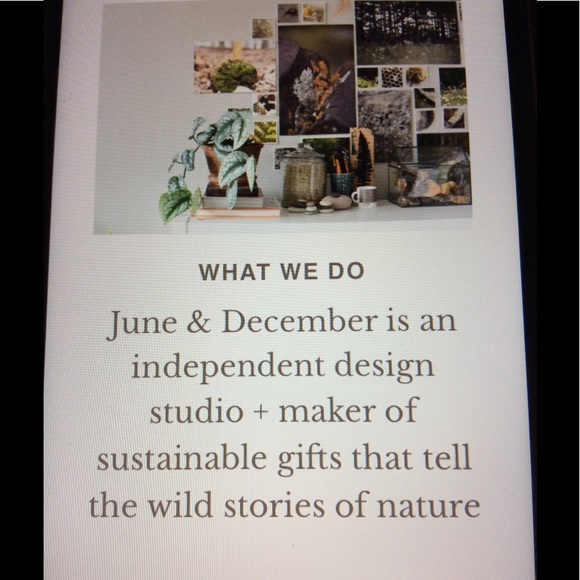 Broughs+Berries Bistro Apron 🌿🌱 - Picture 13 of 13